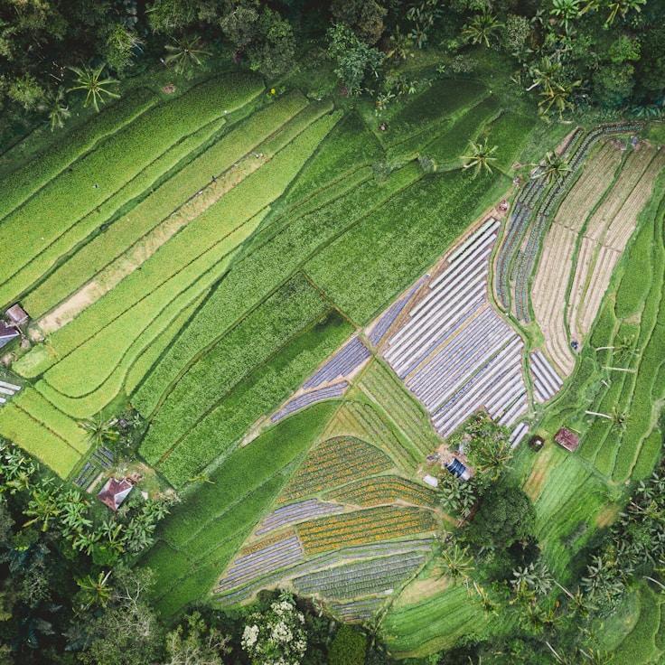 Family terraces and cafés for calm evenings in Amsterdam